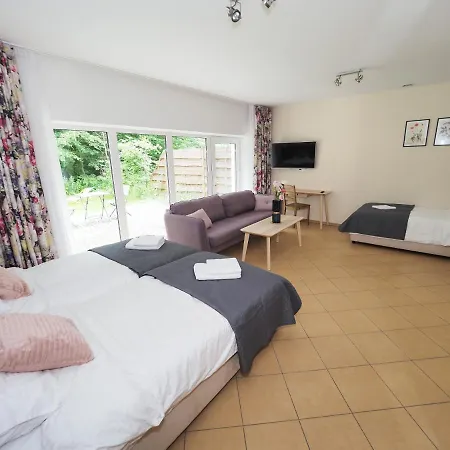 W Lesie Appartement Dzierzazno