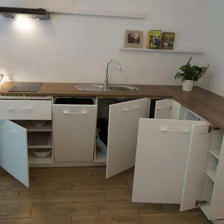 W Lesie Appartement Dzierzazno