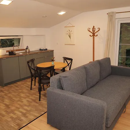 Apartment W Lesie Dzierzazno